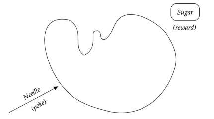 1.3