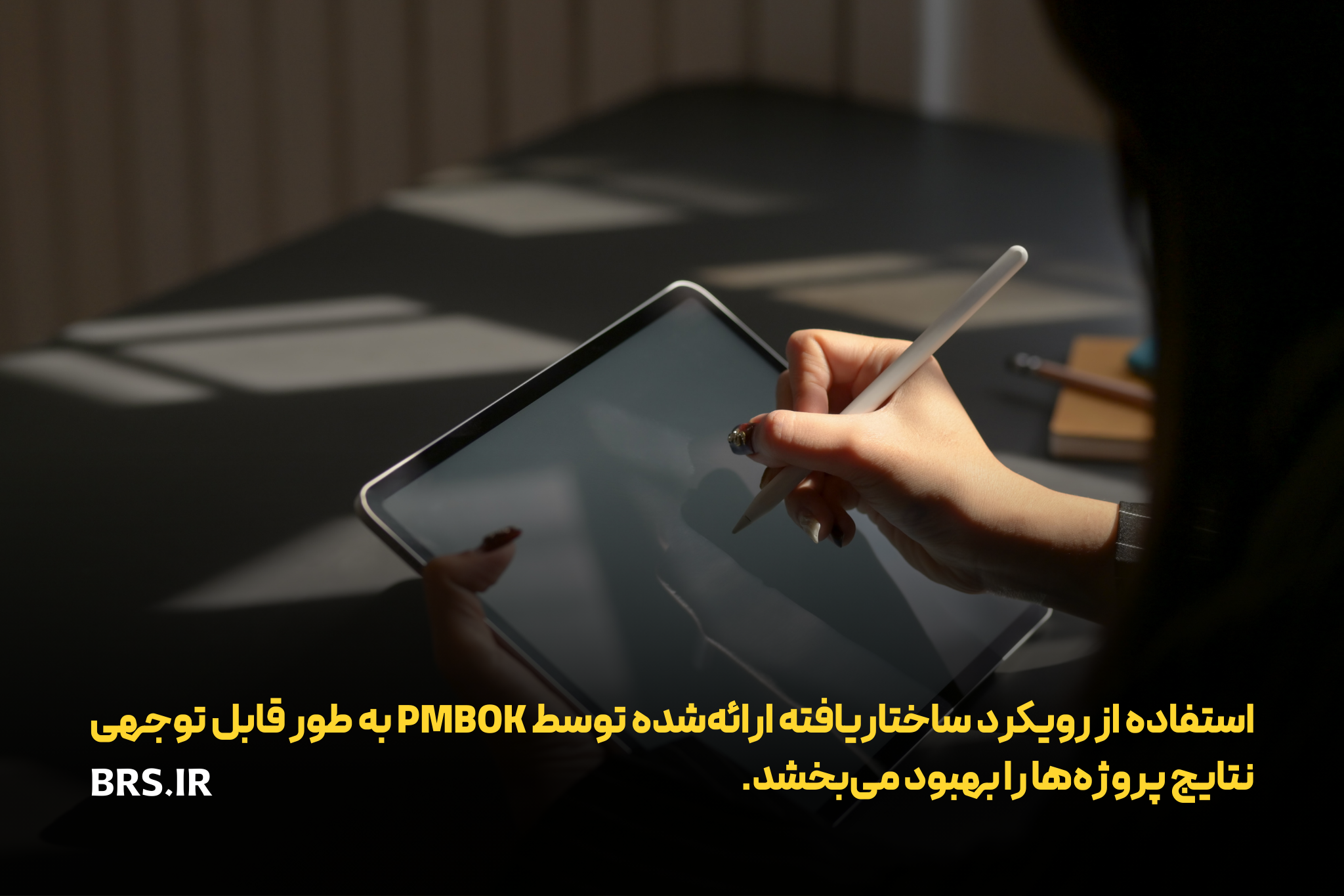 PMBOK STANDARD