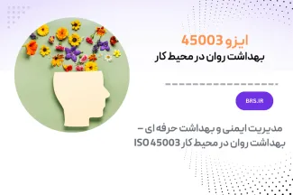 ISO 45003