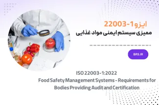 ISO 22003-1