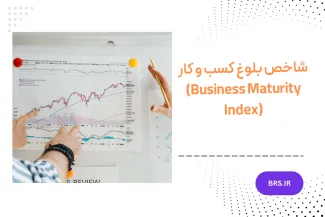 Business Maturity Index
