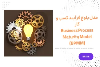 Business Process Maturity Model (BPMM)