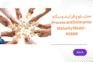 مدل بلوغ فرآیند و بنگاه (PEMM)
