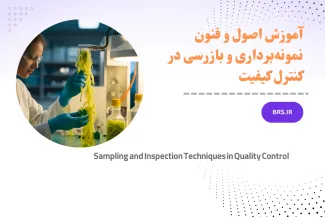 Sampling and Inspection 