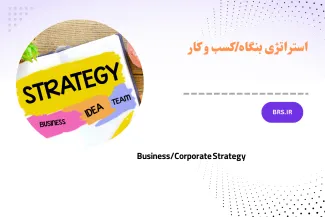 Business/Corporate Strategy